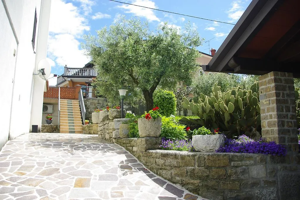 Guest House Nena Motovun