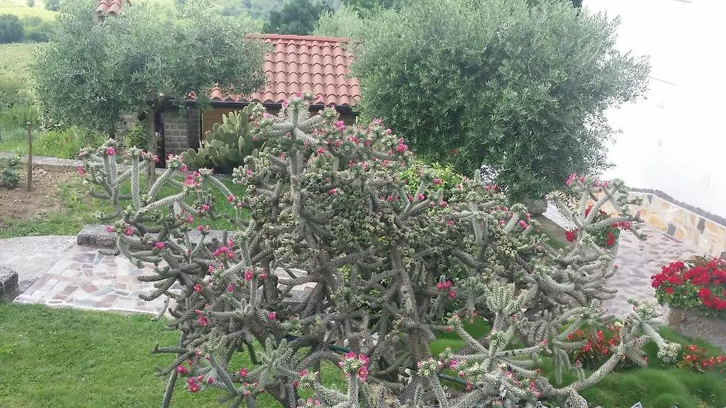 Guest House Nena Motovun